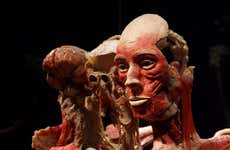 Biglietti per Body Worlds